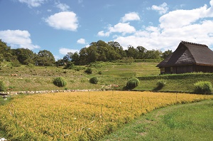 里山 あい 公園 な